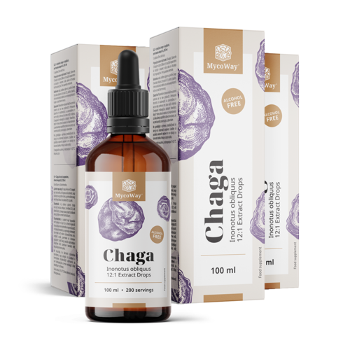 3x Chaga – ekstrakt u kapima, ukupno 300 ml