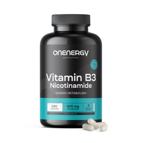 Vitamin B3 500 mg – nikotinamid, 240 kapsula