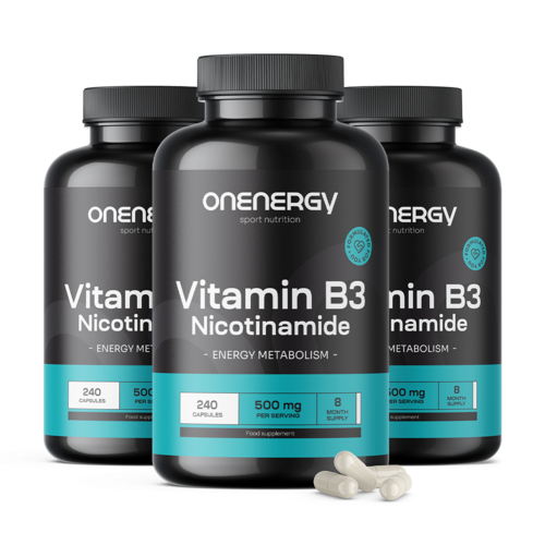 3x Vitamin B3 500 mg – nikotinamid, ukupno 720 kapsula