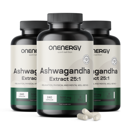 3x Ashwagandha 500 mg – ekstrakt 25:1, ukupno 720 kapsula