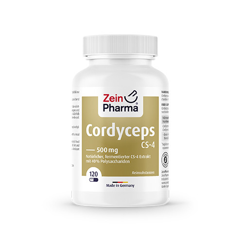 Cordyceps 